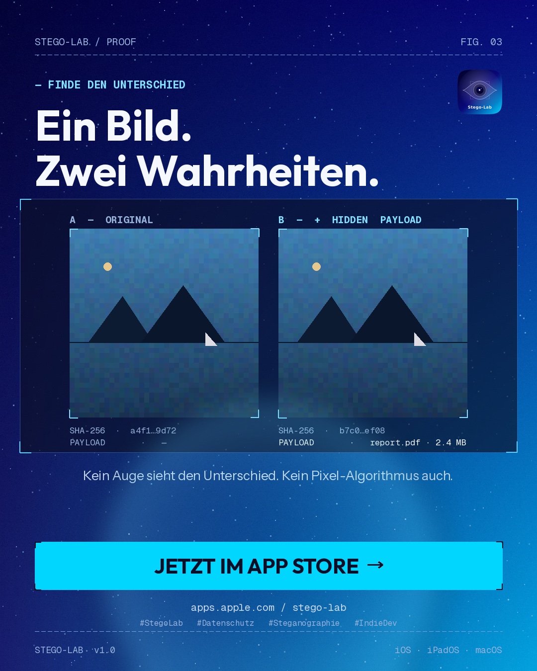 Vergleich Original gegen Bild mit verstecktem Payload — kein sichtbarer Unterschied, AES-256-CBC-verschlüsselt